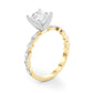 Molly Princess Cut